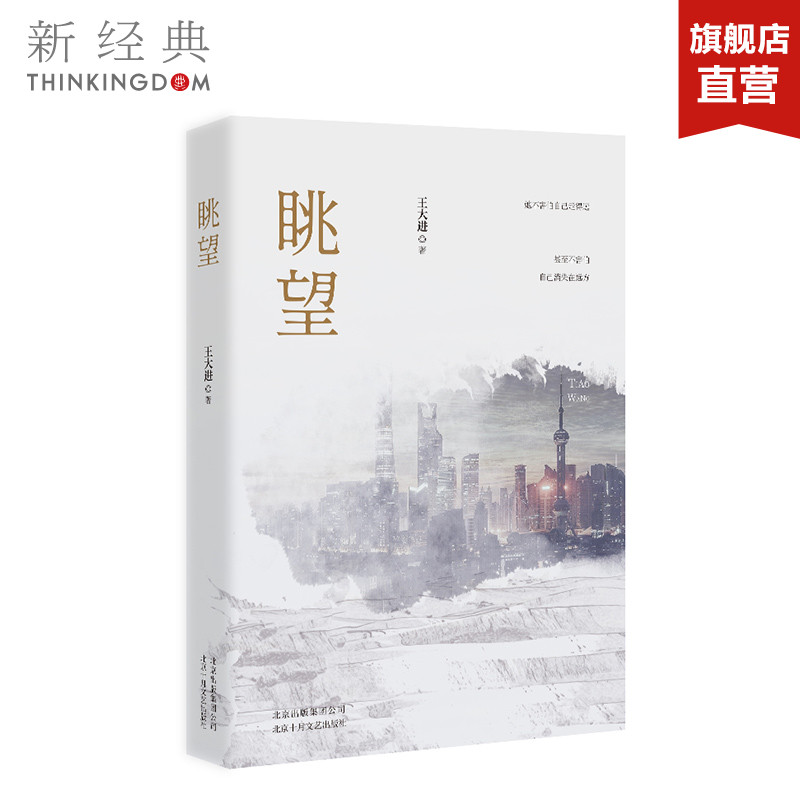 新经典眺望王大进现实主义长篇小说新作都市浮沉真实书写找寻“理想生活”正版图书