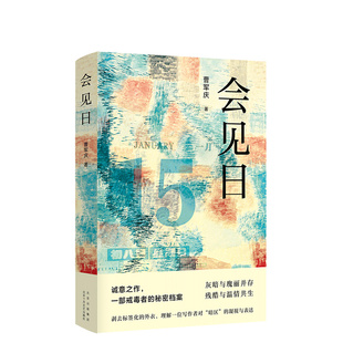20个会见日 会见日 故事深具洞察力 叙述部诚意之作本戒毒者档案 正版 新经典 直发