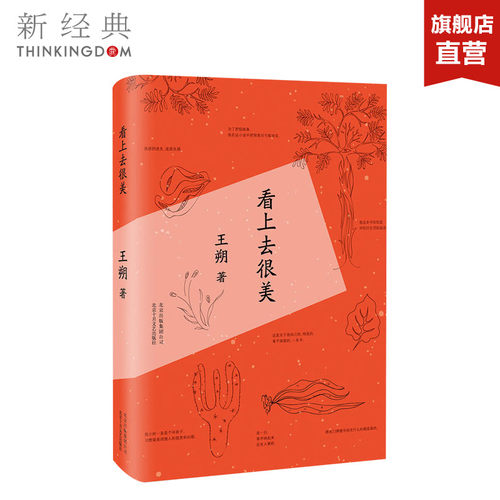 看上去很美王朔旗舰店正版