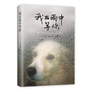 现货 忠犬八公 新经典 正版 我在雨中等你 导盲犬小Q 电影 宠物 官方自营 包邮 故事 同名电影2019在美火热上映 畅销 文学
