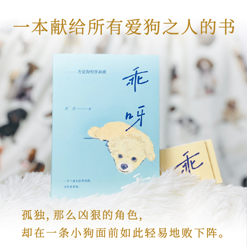 乖呀乖：为爱狗的你和我（剧作家万方与爱犬的故事） 新经典