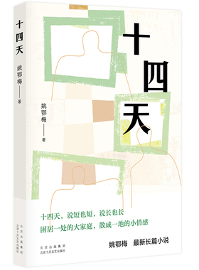 正版直发 十四天  姚鄂梅  世情小说   困居处的大家庭，散成地的小情感  新经典