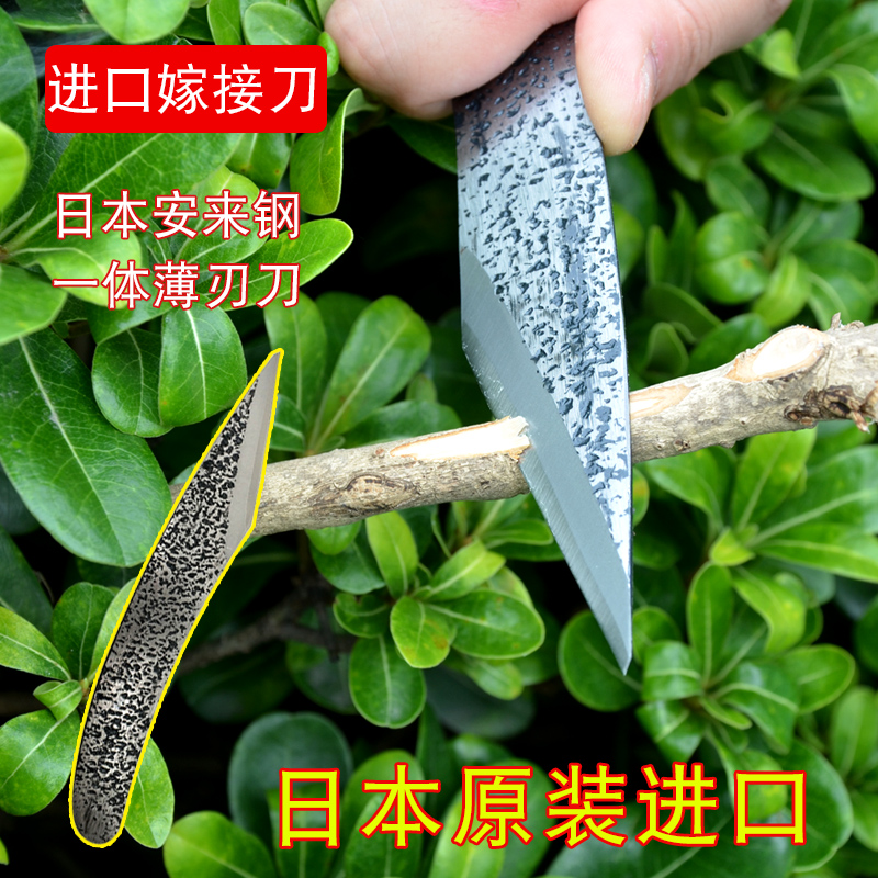 日本进口金星嫁接刀嫁接器芽接刀果枝刀刀片修枝刀具苗木果树嫁接