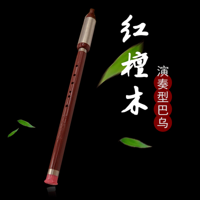 巴乌乐器竖吹B调C调g调f调横吹G调F调儿童小学生成人初学者入门