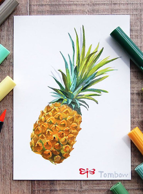 日本进口文具tombow蜻蜓软头笔双头水彩笔ABT彩色绘图毛笔勾线手帐画笔绿色黄色可水洗儿童学生绘画设计用