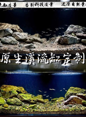 定制溪流缸造景原生缸造景一整套原生态鱼缸造景三湖慈鲷缸各类缸