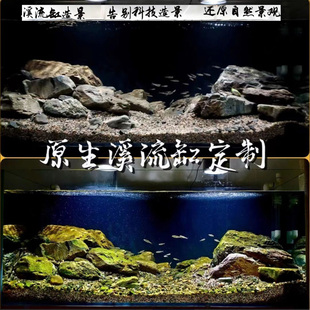 定制溪流缸造景原生缸造景一整套原生态鱼缸造景三湖慈鲷缸各类缸