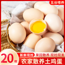 正宗土鸡蛋农家散养新鲜柴鸡蛋草鸡蛋营养初生蛋12 60枚