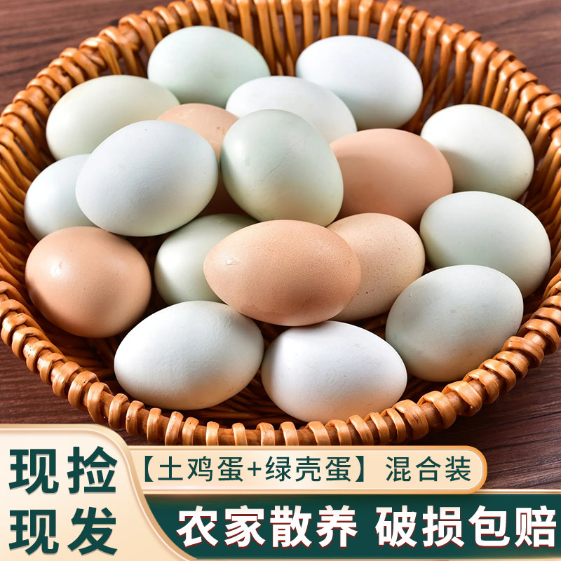混合蛋绿壳蛋土鸡蛋10枚