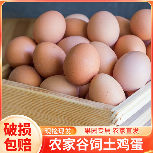 云依禾农庄正宗农家散养土鸡蛋鲜鸡蛋月子蛋初生蛋谷物蛋U