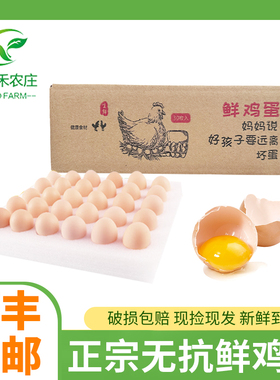 正宗新鲜农家散养土鸡蛋散养生鸡蛋柴鸡蛋草鸡蛋笨鸡蛋S