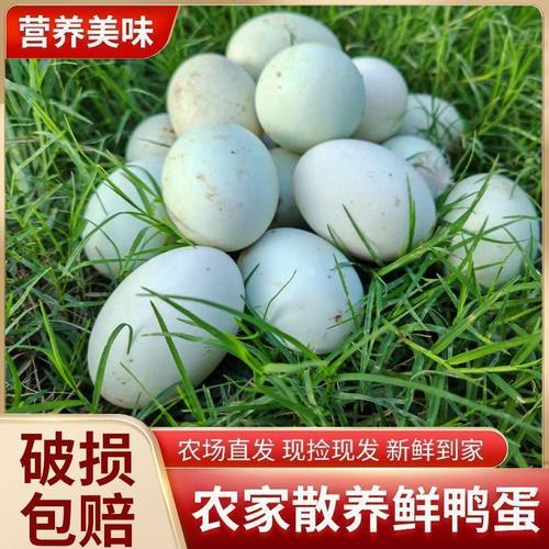 大个新鲜鸭蛋箱批发正宗农家散养绿壳生鸭蛋