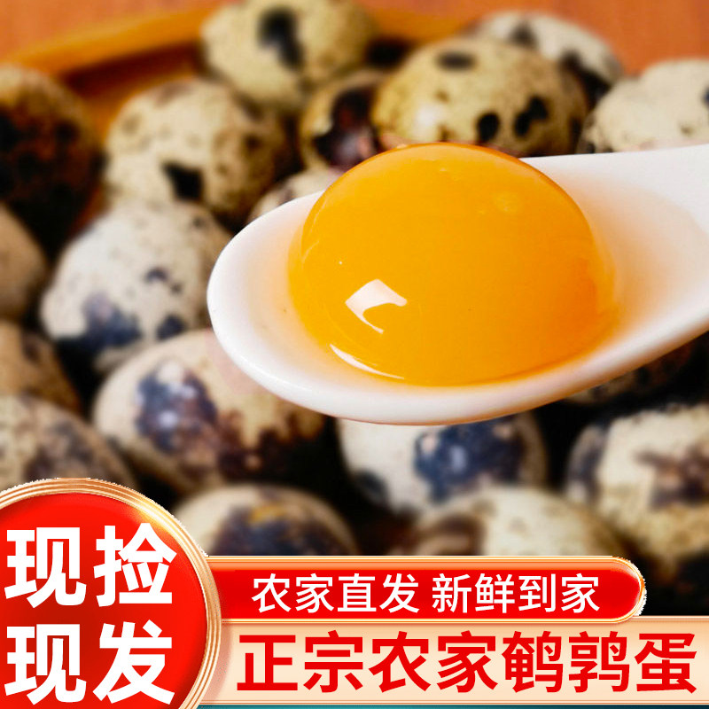 新鲜鹌鹑蛋50枚装农家散养生的鹌鹑蛋鸟蛋宝宝营养辅食破损包赔,水产肉类/新鲜蔬果/熟食,鹌鹑蛋,淘宝优惠券,粉丝福利购,淘宝优惠卷