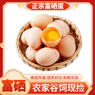 云依禾农家富硒鸡蛋散养孕妇土鸡蛋50g