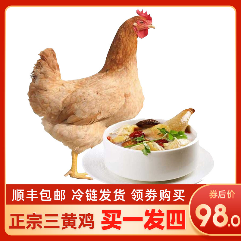 发4只农家散养土鸡 三黄鸡冷冻童子鸡新鲜白条生鸡鸡肉走地鸡整只