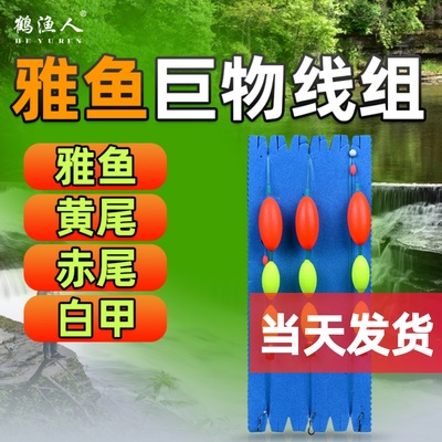 溪流雅鱼大物专用三粒漂线组