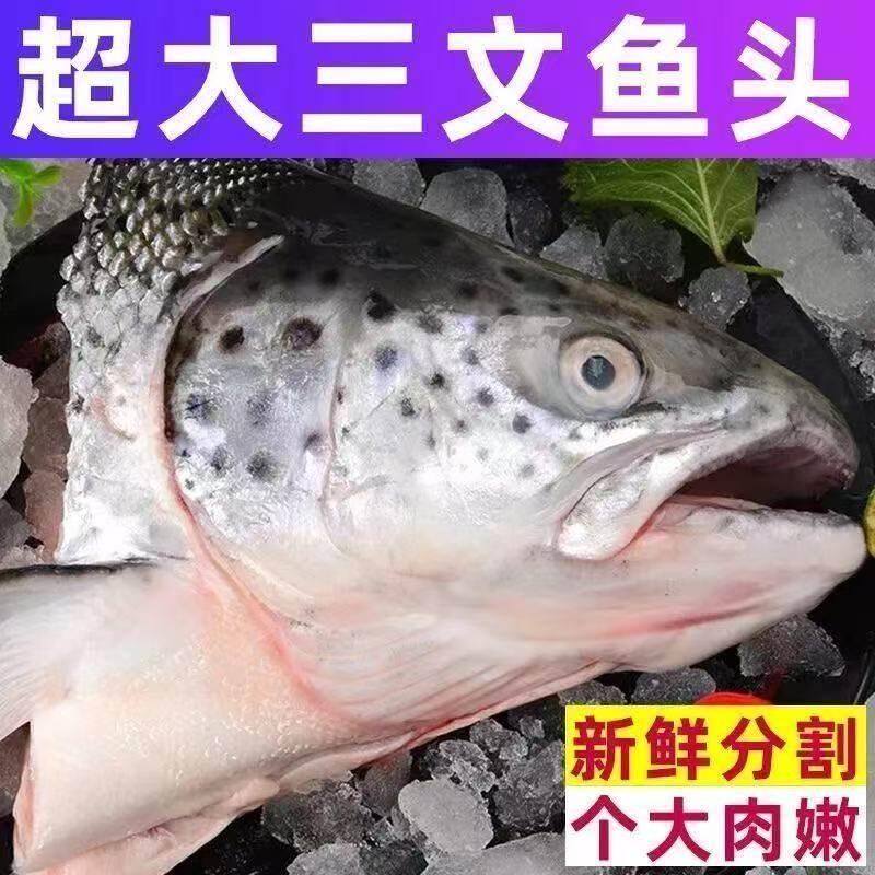 三文鱼头新鲜正宗大头鱼头