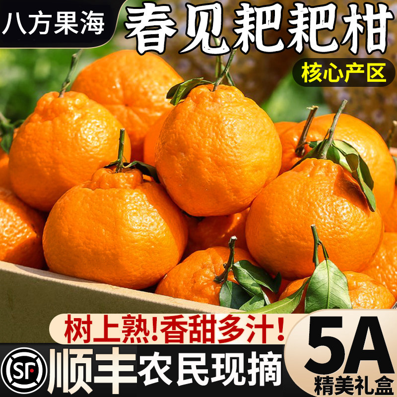 【当季现摘】正宗四川春见耙耙柑新鲜水果整箱丑八怪橘子特级粑粑,水产肉类/新鲜蔬果/熟食,桔子,淘宝优惠券,粉丝福利购,淘宝优惠卷