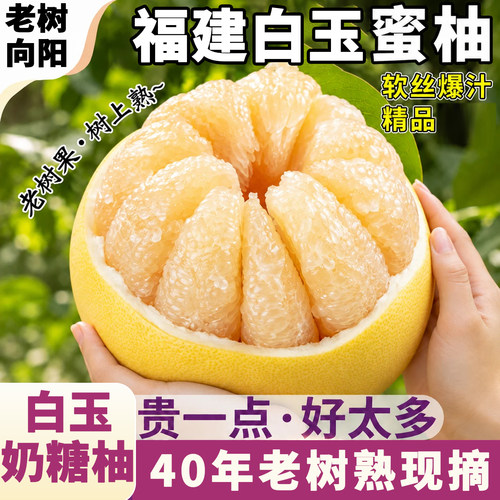 【40年老树果】白玉奶糖柚白心柚子新鲜水果现摘现发白玉水晶蜜柚