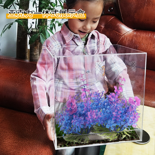 亚克力花盒节日包装高清透明定制