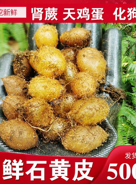 纯得恒山石黄皮马骝卵新鲜现摘