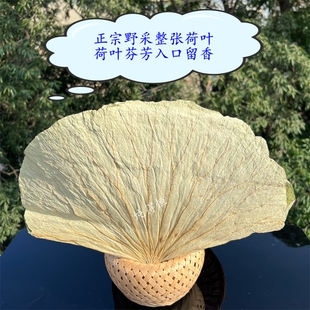 纯得恒农家整张荷叶干食用藕叶莲藕叶荷叶包饭蒸饭荷叶叫花鸡正品