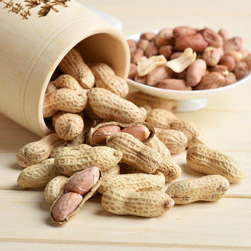 正宗咸干花生500g 四川德阳特产带壳花生盐水煮咸香天府咸干