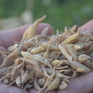 古道边野生麦冬新鲜干货野生麦冬日晒 无硫 （晒干才养阴）半斤装