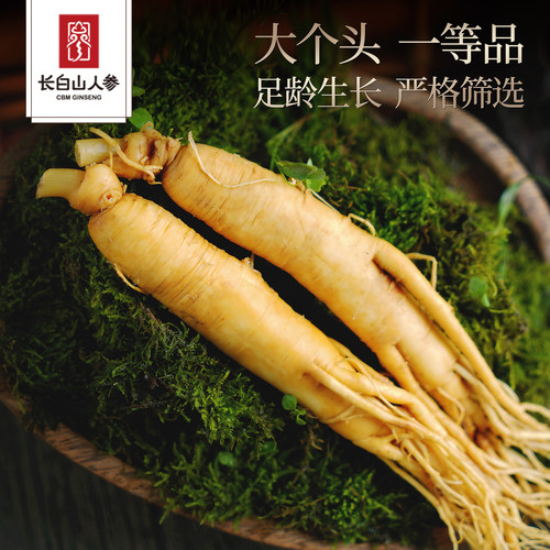 长白山人参保鲜参30g大根泡酒鲜人参煲汤东北特产整支补品送长辈