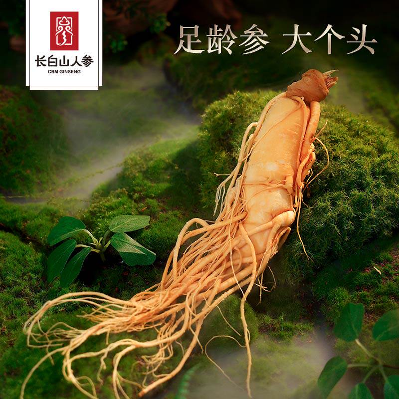 长白山人参鲜人参泡酒专用煲汤大个头鲜人叁保鲜参吉林特产补品