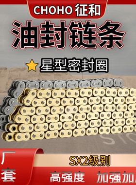 征和SX2油封链条 520SX2 525SX2原色金色原车配套大排量摩托车链