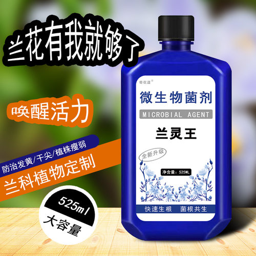 花百媚兰灵王生根促花促生长