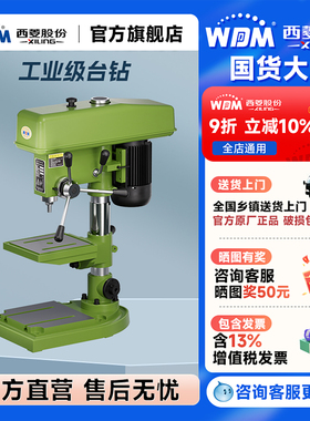 西菱工业级台钻强力小型高精度重型钻床钻孔机家用220V380VZ4125D