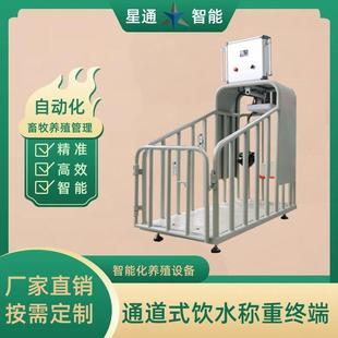 通道式 畜牧稱重設(shè)備自動(dòng)化養(yǎng)殖設(shè)備智能牧場(chǎng)管理高精度無應(yīng)激稱重