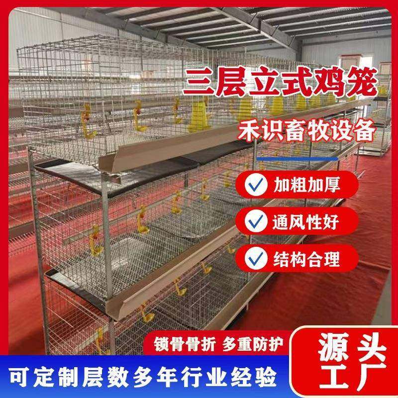 三层立式肉鸡笼养殖设备肉鸡笼热镀锌三层肉鸡笼防锈层叠式肉鸡笼,畜牧/养殖物资,特种养殖设备,淘宝优惠券,粉丝福利购,淘宝优惠卷