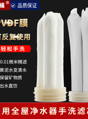 外压手洗膜中央全屋净水器家用直饮PVDF中空纤维超滤膜过滤器滤芯
