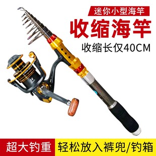 便携伸缩海竿短节竿远投竿超短迷你小路亚纺车轮套装 海竿抛竿套装