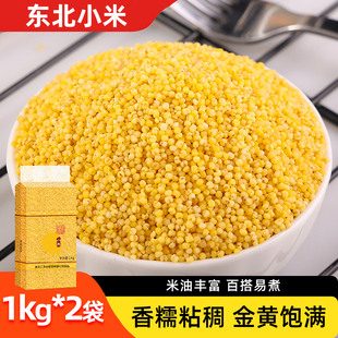 东北黄小米1kg当季新货香糯粘稠杂粮小米锅巴发糕小米粥凉糕专用
