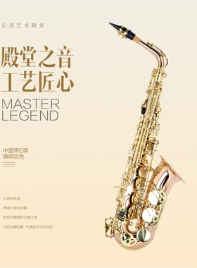 相思鸟萨克斯乐器正品成人初学者降E调中音小萨克斯风管入门乐器