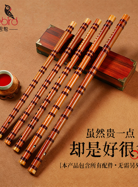 相思鸟笛子初学成人苦竹笛乐器陈情笛学生e横笛专业演奏g调高颜值