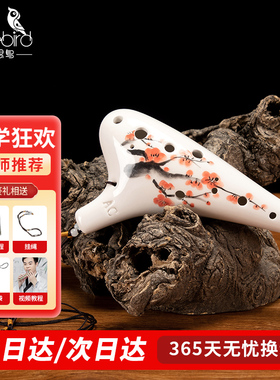 相思鸟陶笛小学生专用12孔AC乐器初学者儿童演奏型树脂陶瓷吹奏类