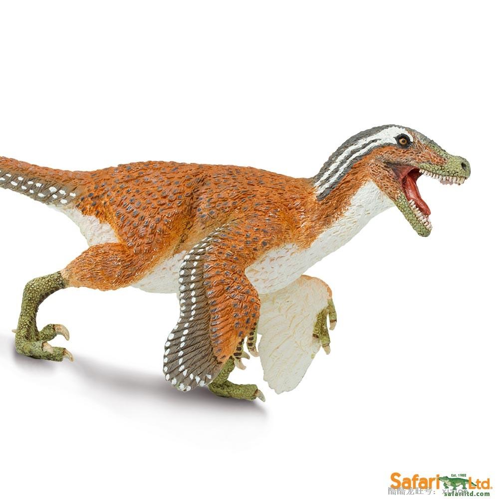 男生礼物美国Safari正品恐龙玩具仿真羽毛速龙模型摆件特价免邮