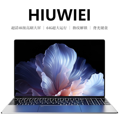HIUWIEI 2026新款15.6英寸英特尔15代笔记本电脑英特尔游戏办公本