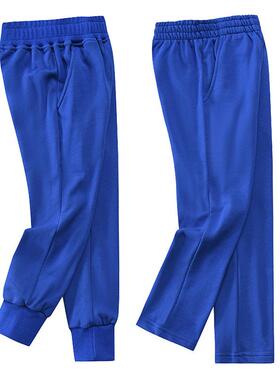 男童女童宝蓝色校服长裤童装一二道杠运动裤春秋款中小学生校裤子