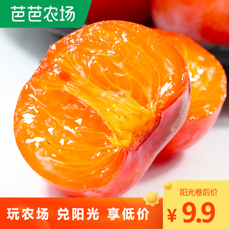 现摘火晶软柿小柿子新鲜涩柿子甜柿子孕妇水果带箱5斤