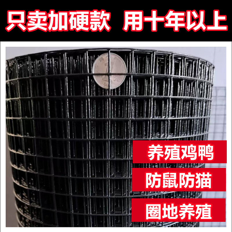 防锈铁丝网养鸡加硬防鼠电焊网