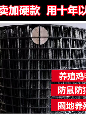 防锈铁丝网养鸡加硬防鼠电焊网
