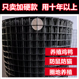 防锈铁丝网养鸡加硬防鼠电焊网