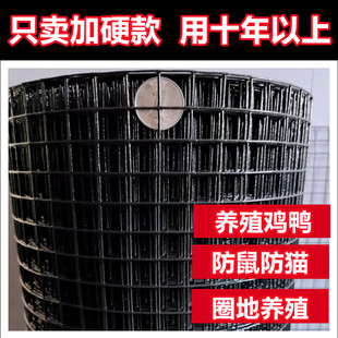 加硬铁丝网防鼠防猫网养鸡防护网果园菜园护栏网圈地网防锈小孔网