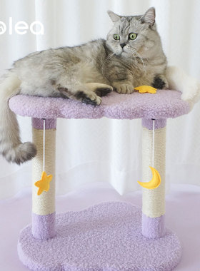新款两层猫爬架小型不占地剑麻猫抓柱可爱紫色猫窝一体式耐抓